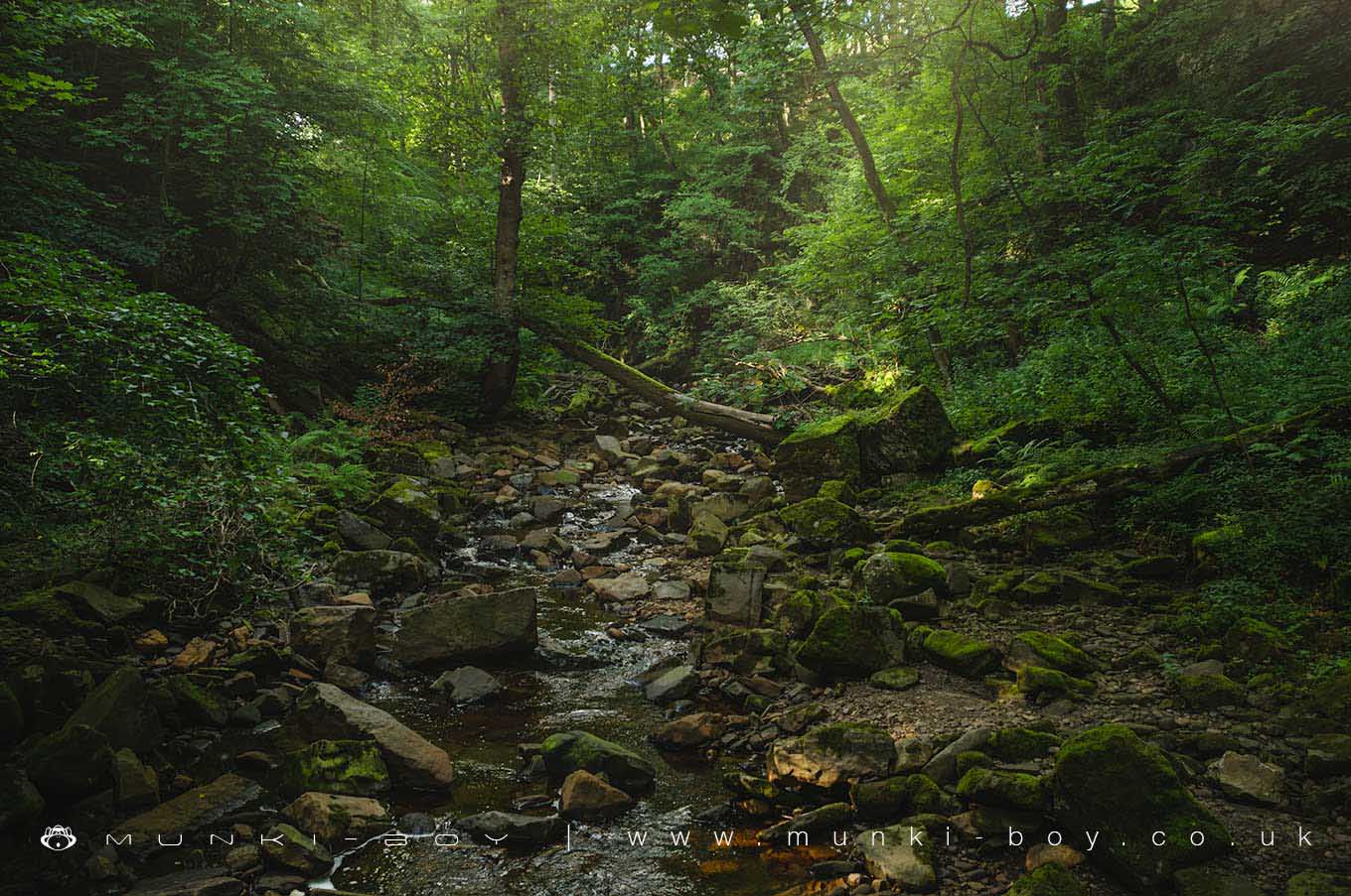 Rivers and Streams in North Yorkshire