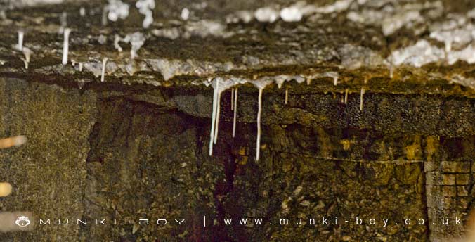 Old Mines in Winter Hill Mines