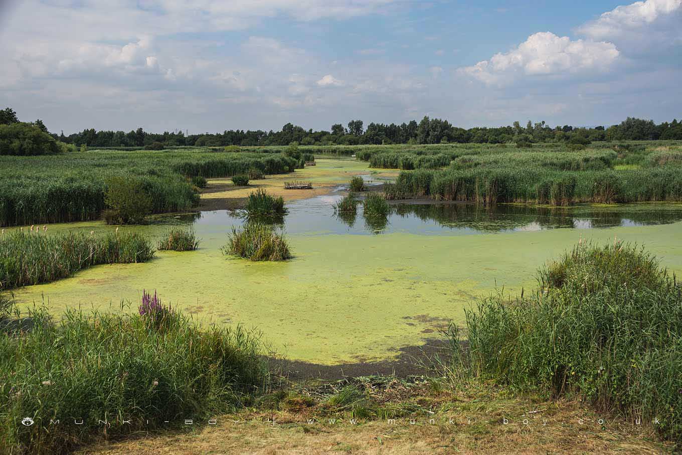 Nature Reserves in Warrington