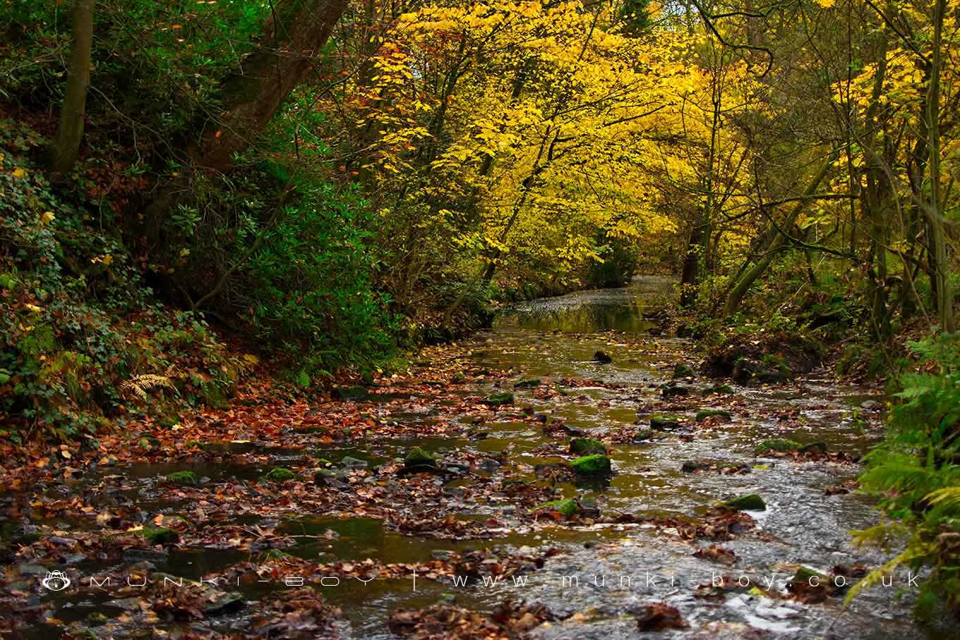 Rivers and Streams in Worsley